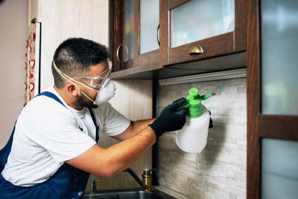 Best Local Pest Control Services  in Lillington, NC