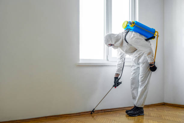 Best Pest Removal Services  in Lillington, NC