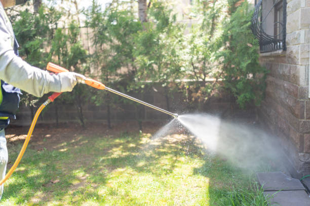 Bird Control in Lillington, NC