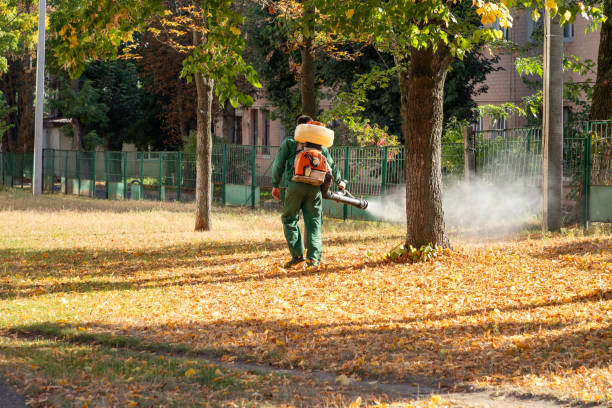 Best Termite Control Services  in Lillington, NC