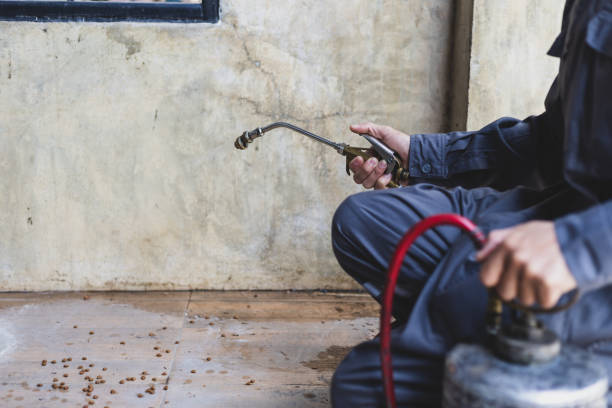 Best Mosquito Control Services  in Lillington, NC